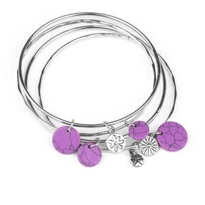 Expandable Silver Bangle Bracelet Set with Purple Stone Disc Charms
